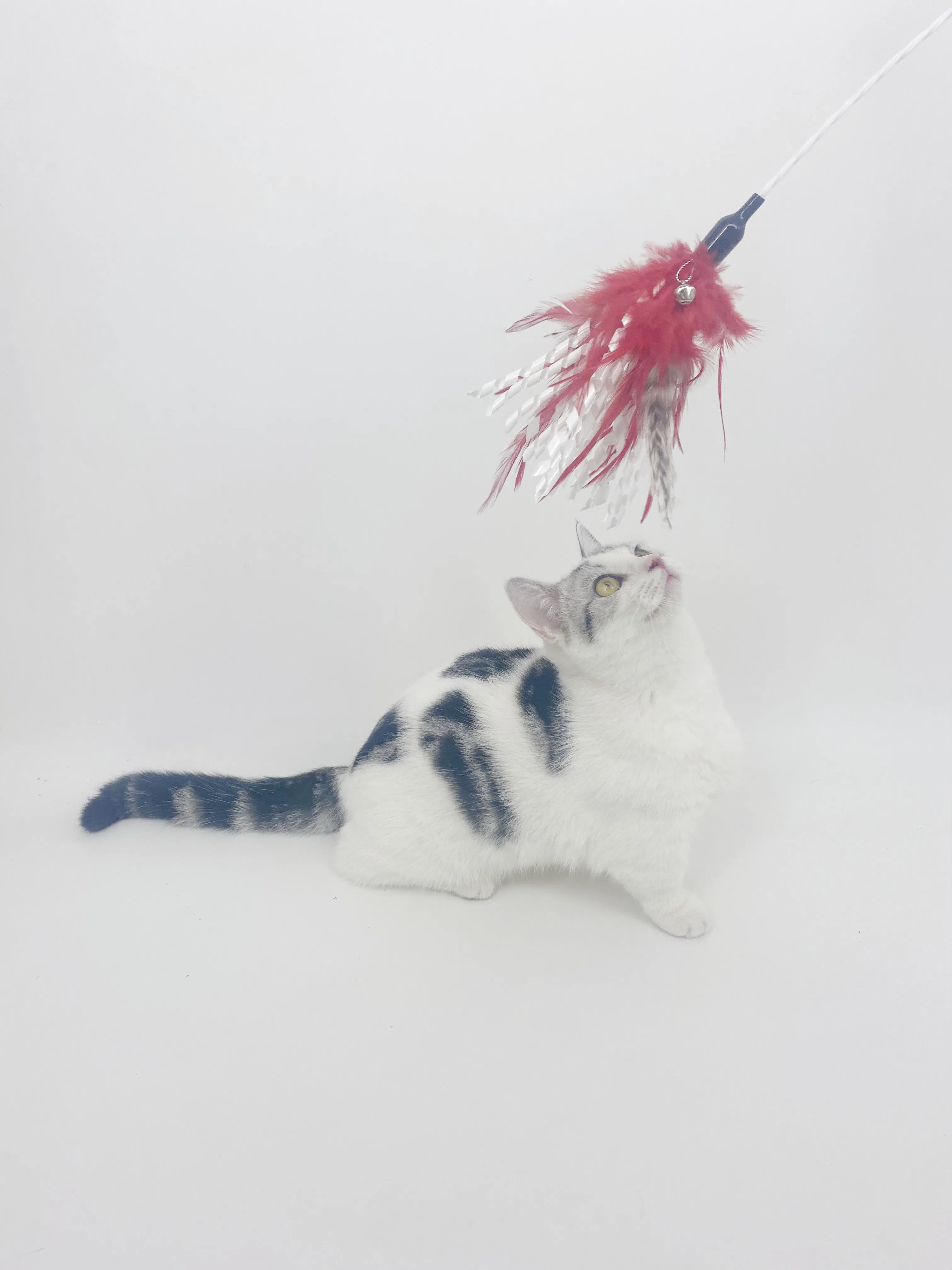Turkey hair spiral bell teaser cat toys cat toys natural feather wand cat pet toys supplies