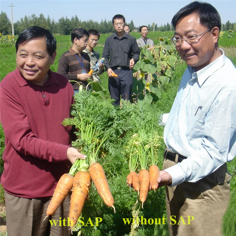 Manufacturers Super Absorbent Polymer Factory Price Sodium Polyacrylate Powder for Diaper SAP Synthetic Resin and Plastics