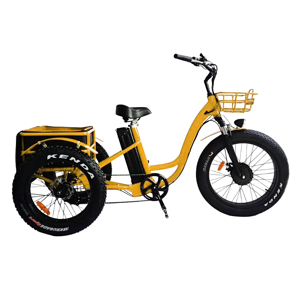 Ristar fat tire 3 wheel electric bicycle with best quality and low price