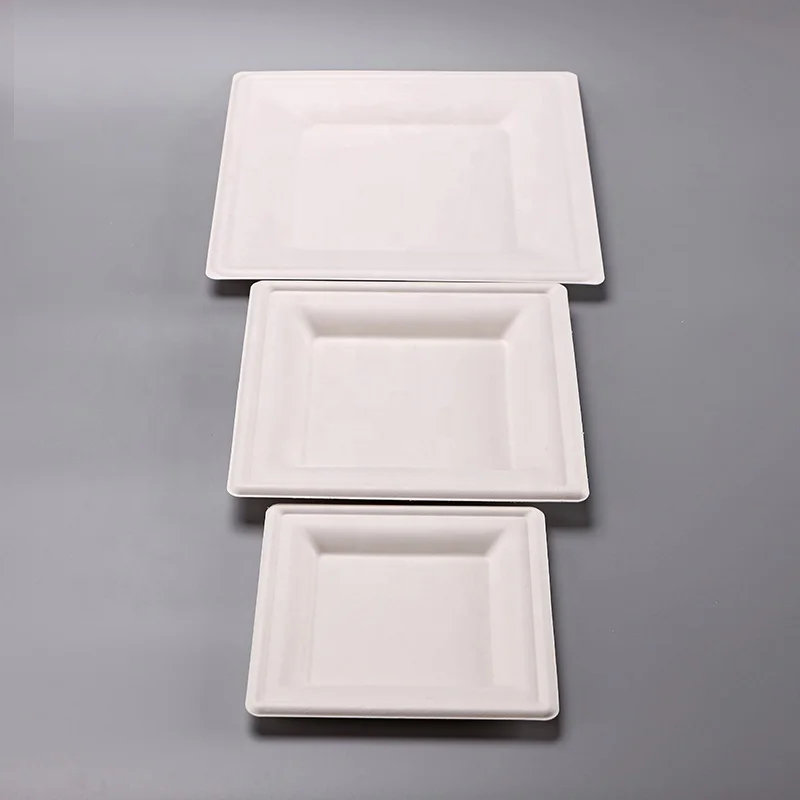 
Custom printed eco one time oval shape sugarcane bagasse bio degradable disposable food containers paper plates price 