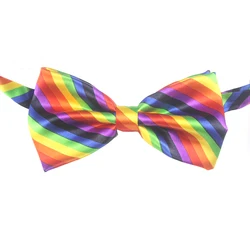 Factory direct 100% polyester custom rainbow striped bow tie handmade printed bow ties for men