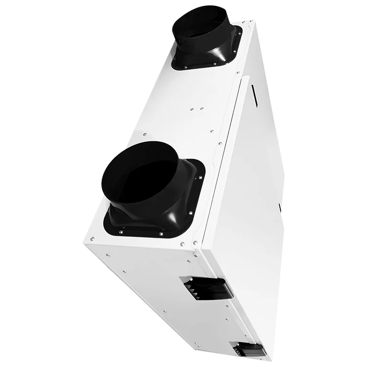 QFA-A250 220V Large Air Volume All Day Air Supply Energy Recovery Ventilation