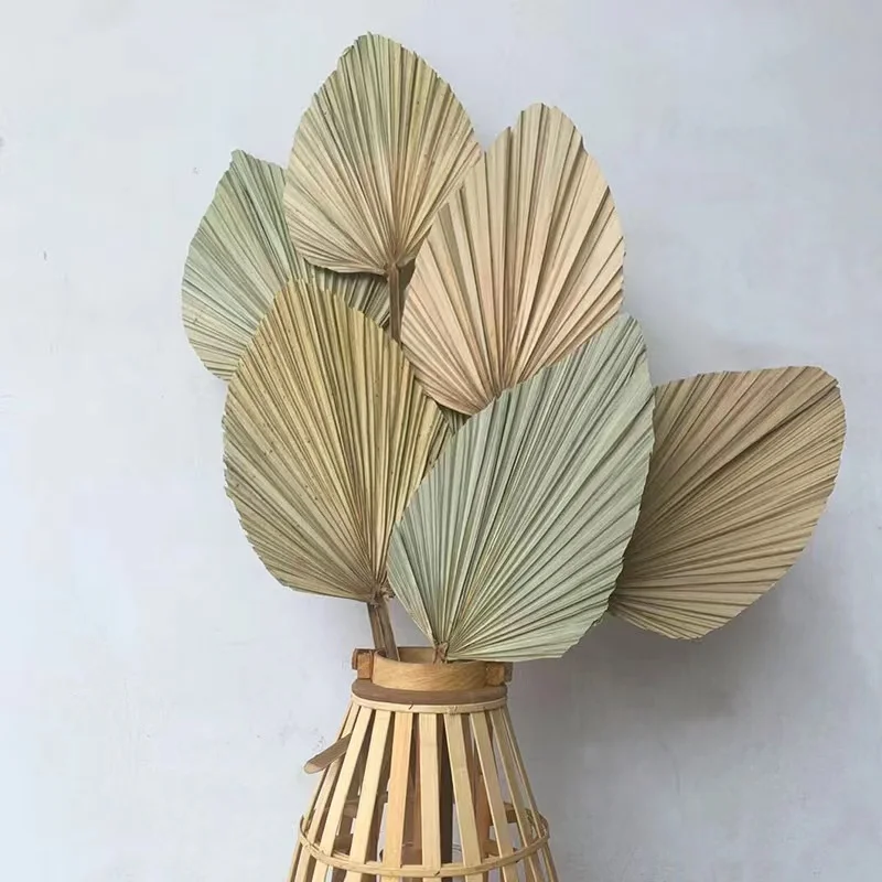 palm leaf fan  (28).jpg