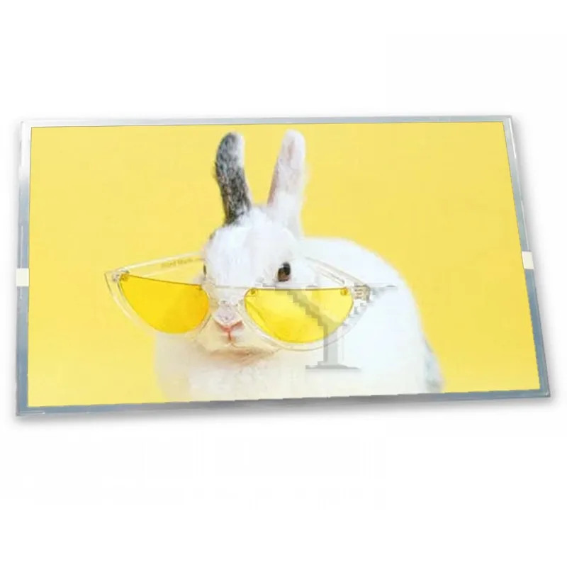 High Resolution 7.0-Inch NL8048BC19-02C TFT LCD Panel 800*480 Resistive Touchscreen LCD Module