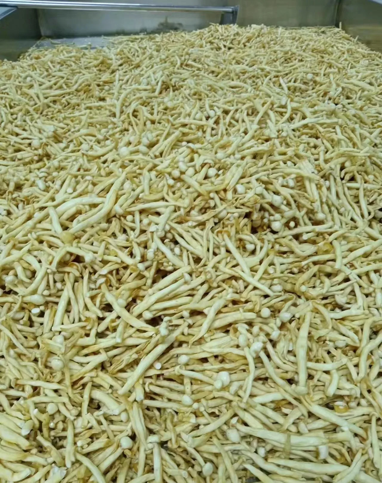 DETAN  Wholesale Fruit and Vegetable Snacks Crispy Vacuum Fried Seafood Mushroom Chips