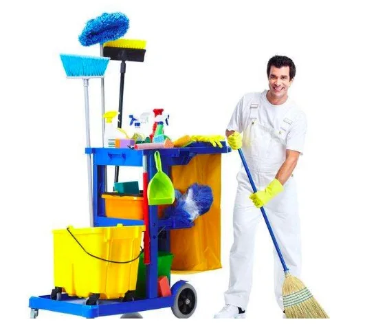 High Quality Inorganic Pigments Ultramarine Blue Pigment 5008