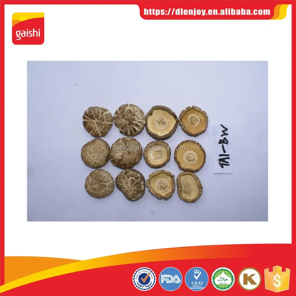 Органический завод Shiitake свежий гриб