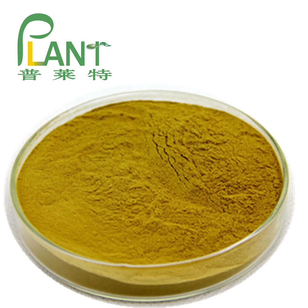 
PLANTBIO Supply High quality Natural luo han guo extract powder 