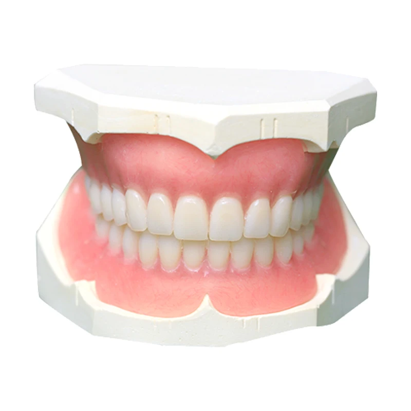 wholesale Dental consumables High quality artificial denture dental equipment Custom made Complete Denture Acrylic Denture