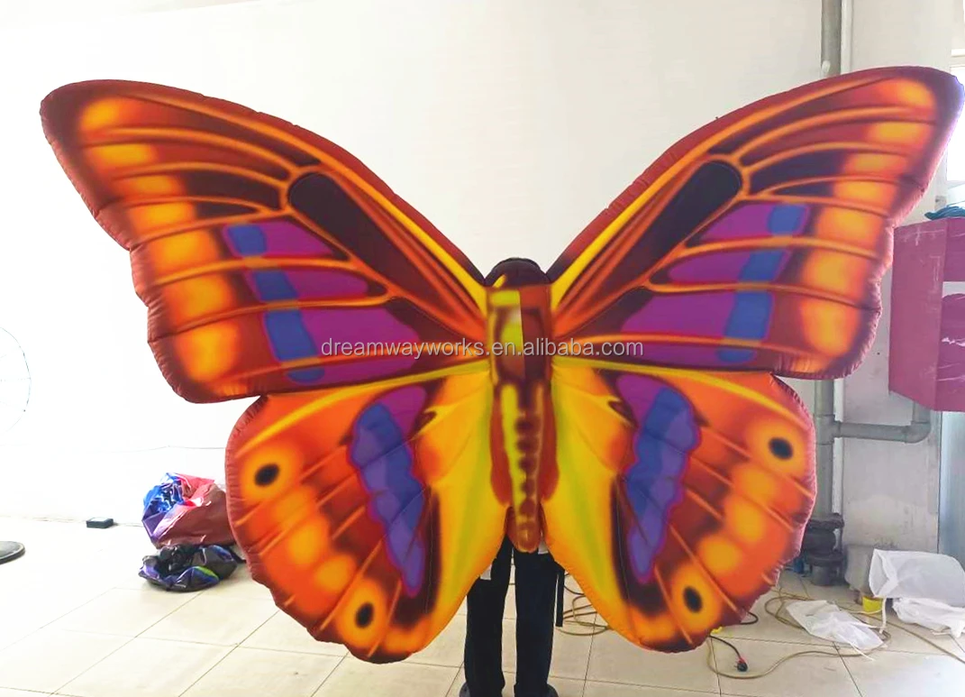butterfly costume