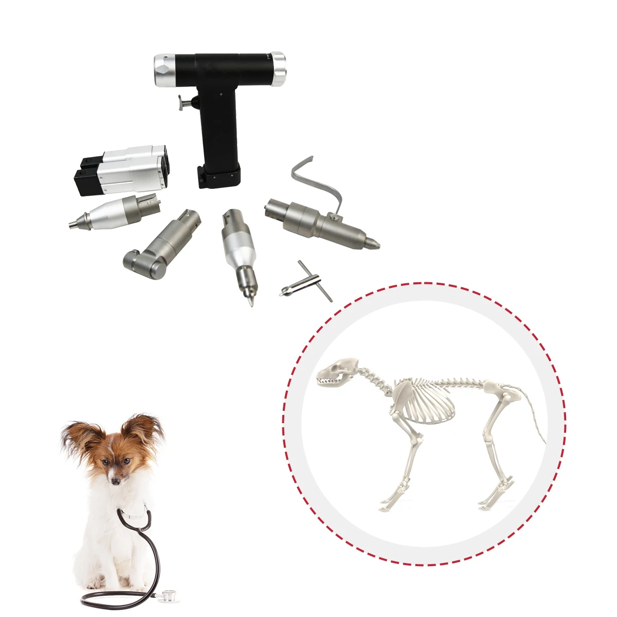 Promotional High Quality Veterinary Quick Release Medical 4-in-1 Power Tool Service Orthopedic Surgical Instruments