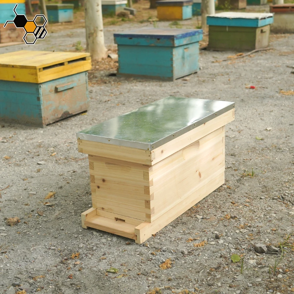 5 Frames beehive nuc bee box wooden langstroth nuc box cardboard nuc box bee