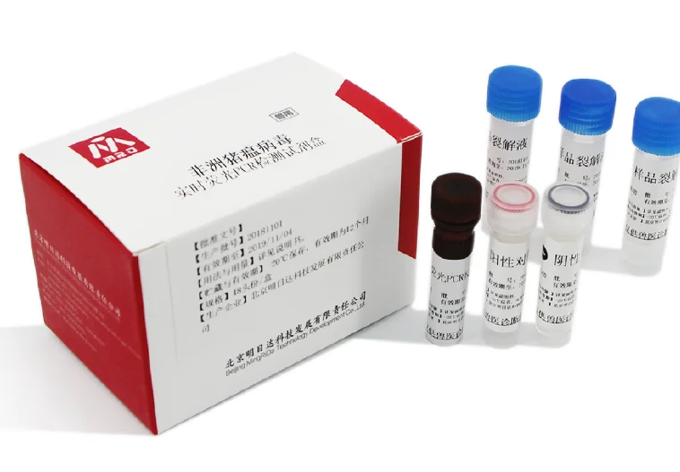 
Real-time PCR test for ASFV Rapid Detection Kit of African Swine Fever Virus ASF 