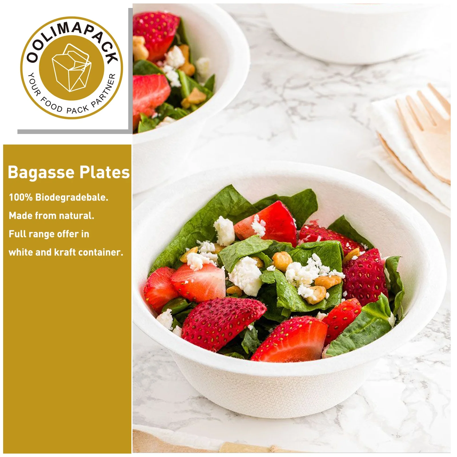 Disposable Customization Sugarcane Bagasse Tray with Lid  Eco Friendly Products Bagasse Lunch Box Container