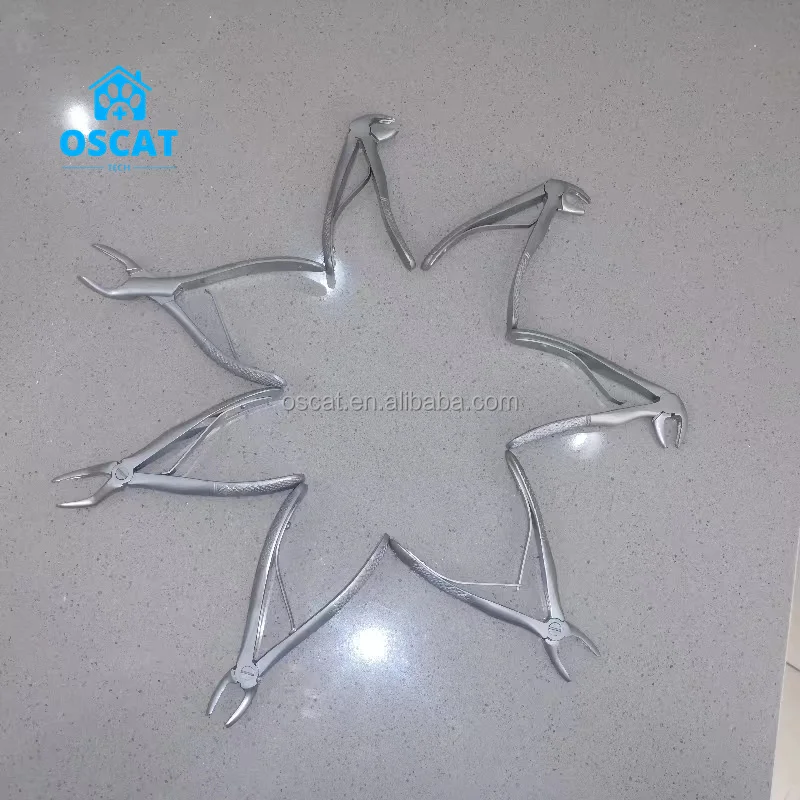 OSCAT Vet Equipment Dental Extracting Forceps Dental Instruments Stainless steel Tooth Extracting Forceps