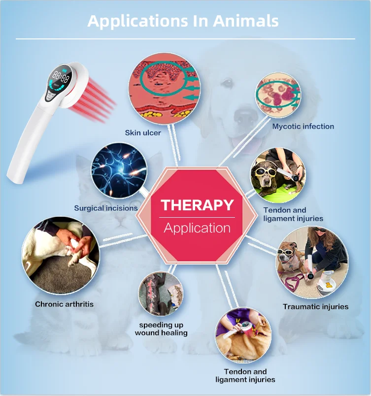 New product ideas 2024 veterinary products portable laser machine diode laser 808 infrared light therapy device