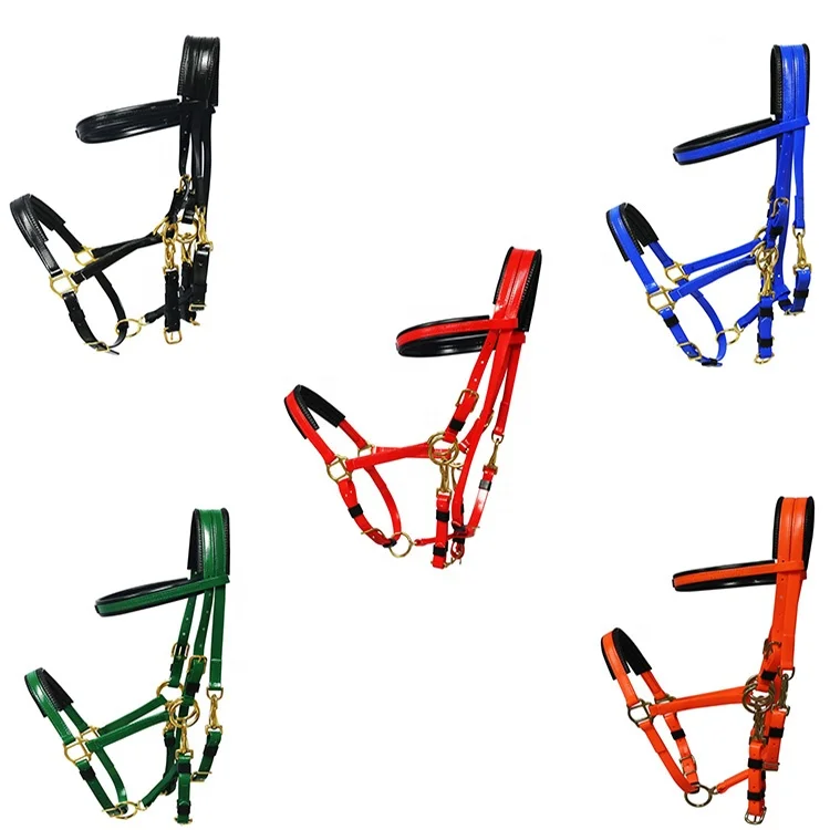 Набор ремней для бега и выносливости с резиной. Нагрудная пластина и мартинель