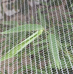 plastic mesh anti-insect netting High quality anti hail net for agricultural 30mesh anti insect net
