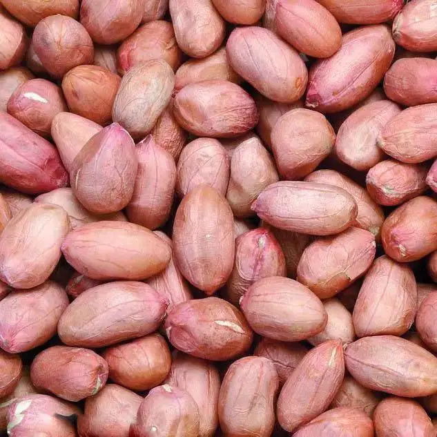 Good Quality High Quality Bold Long Groundnut Kernels Raw Peanut Kernels Without Shell peanut for animal feed