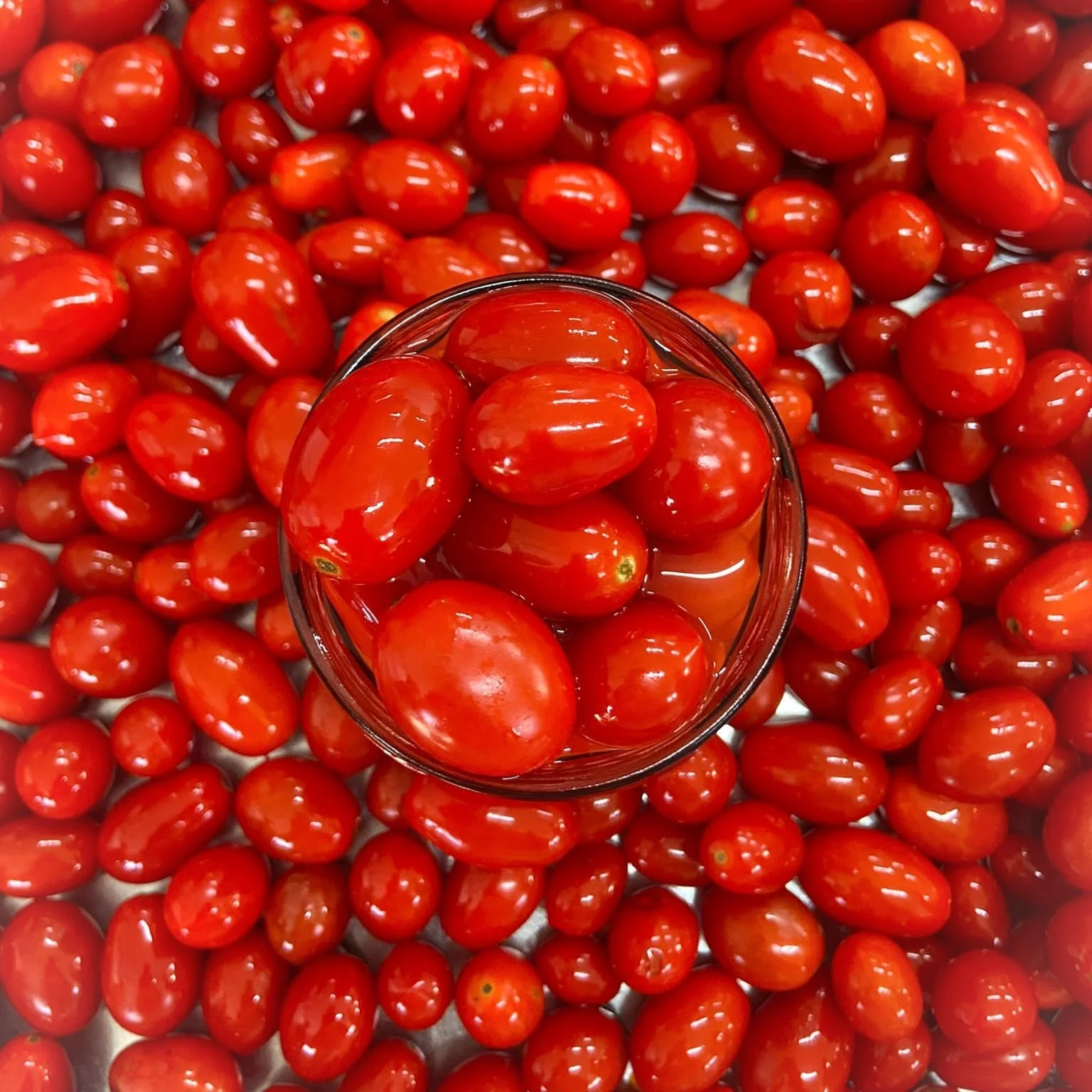 Gourmet Product Mineral Salts And Trace Elements Whole Red Cherry Datterino Tomatoes In Sea Water For Luxury Restaurant