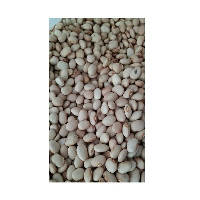 Hot Sale High Quality Healthy Natural Cream Beans (LIGHT BROWN KIDNEY BEANS) For Wholesaler