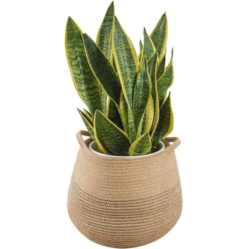 Cheap Price Eco friendly sea grass basket natural bali  mini  seagrass plant pot handmade straw storage basket for flower seagra