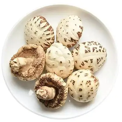 Прямая Продажа с фабрики Henan фирменный высококачественный дневной белый цветочный гриб для приготовления пищи