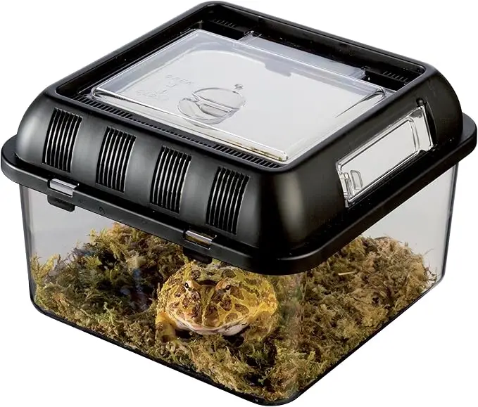 Wholesale High Quality Rainforest Reptile Glass Tanks Reptiles Terrarium For Living Reptiles