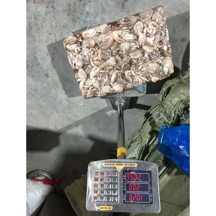 Hot Sale Attractive Price High Quality Big Frozen Octopus