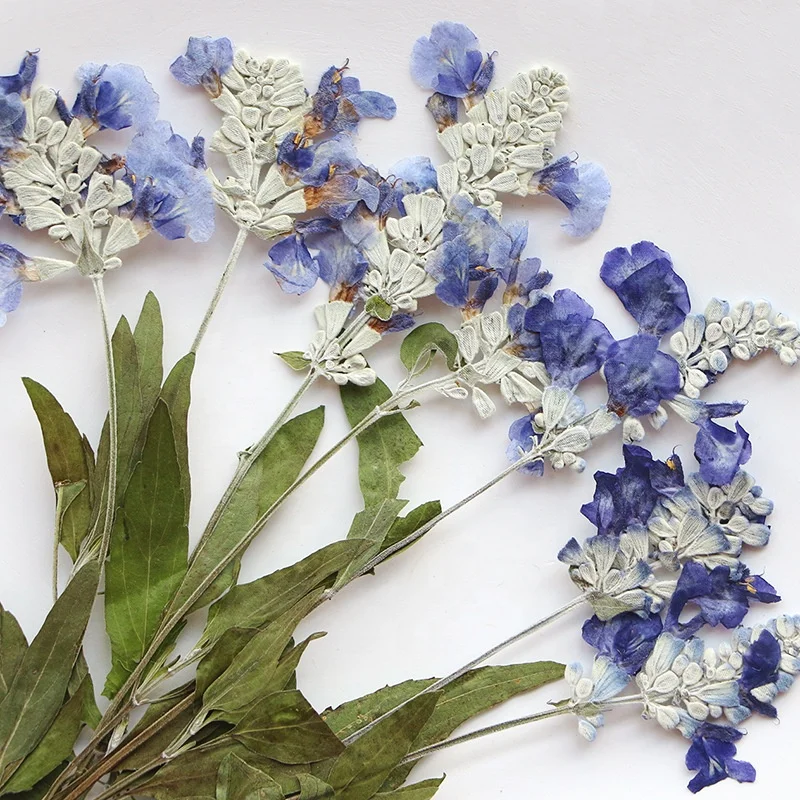 12pcs/pack Sage with Leaf For Resin Epoxy Wax Seal Wedding Photo Frame Eco-friendly Real Pressed Flower