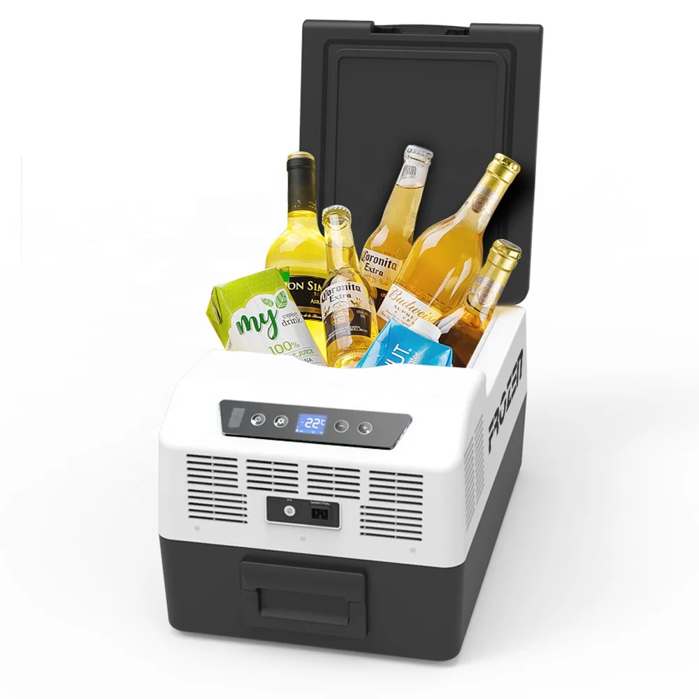 15L Detachable Battery Camping Cooler box 20L Portable Mini Electric  Freezer  Picnic Vaccine Fishing Cooler Box