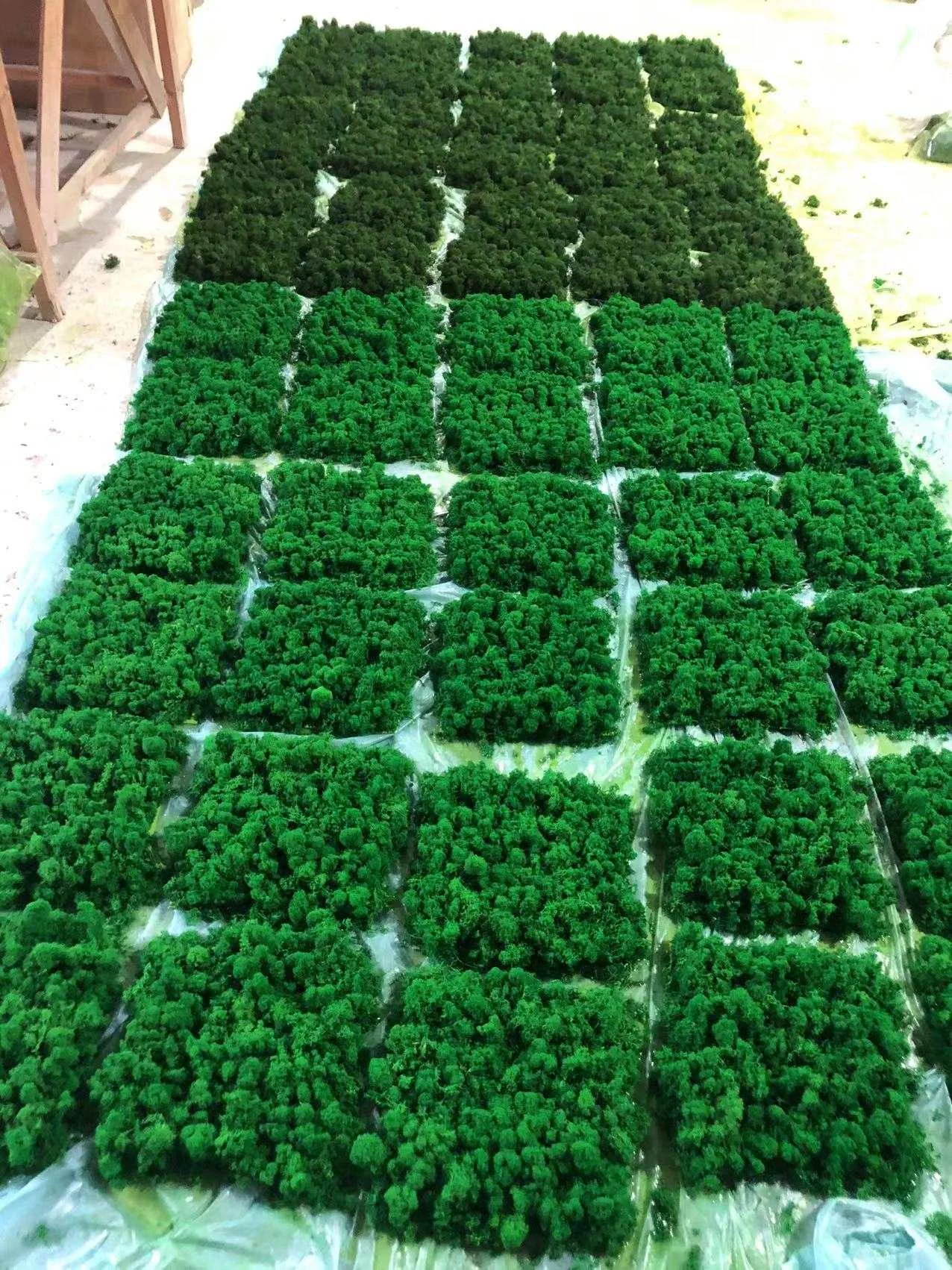 EG-A214 Wholesale Real Natural Plants Preserved Reindeer frame moss moss air sphagnum peat moss