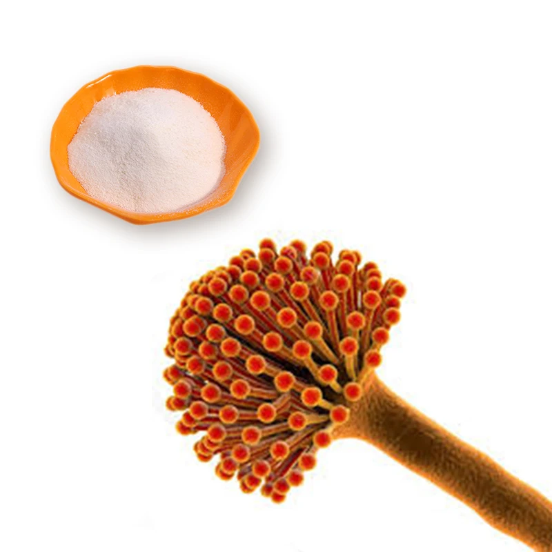 Natural Food grade chitin chitosan/mushroom chitosan Aspergillus Niger Chitosan for bulk sale