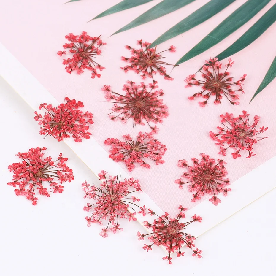 3D Real Dried Flowers Nail Art Decoration Lace Petal Design Natural Pressed Floral Charm Plant Jewelry Nail Decorations