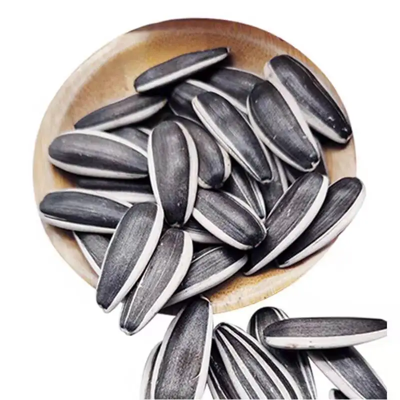 Raw China Wholesale Sunflower Seeds 363 Inner Mongolia best quality cheap price export factory