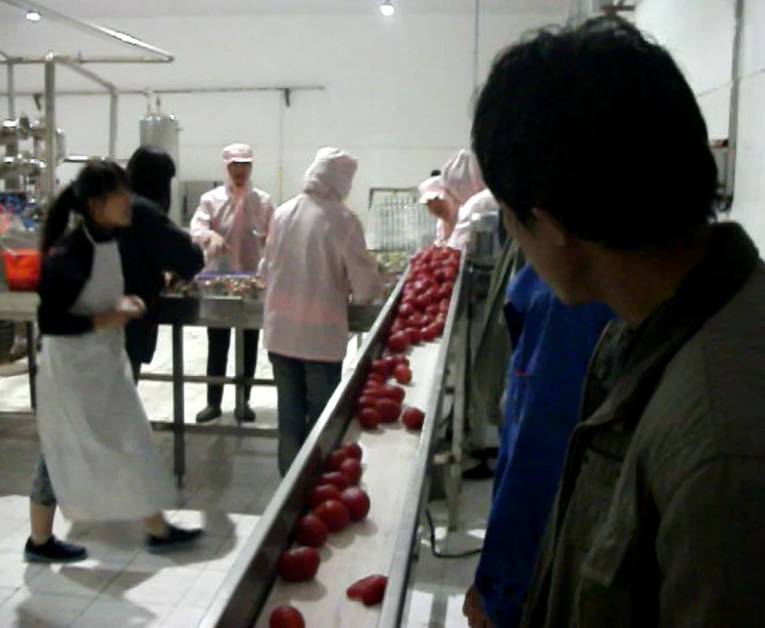 canned diced tomato  processing machindiced tomato canned fruit production line