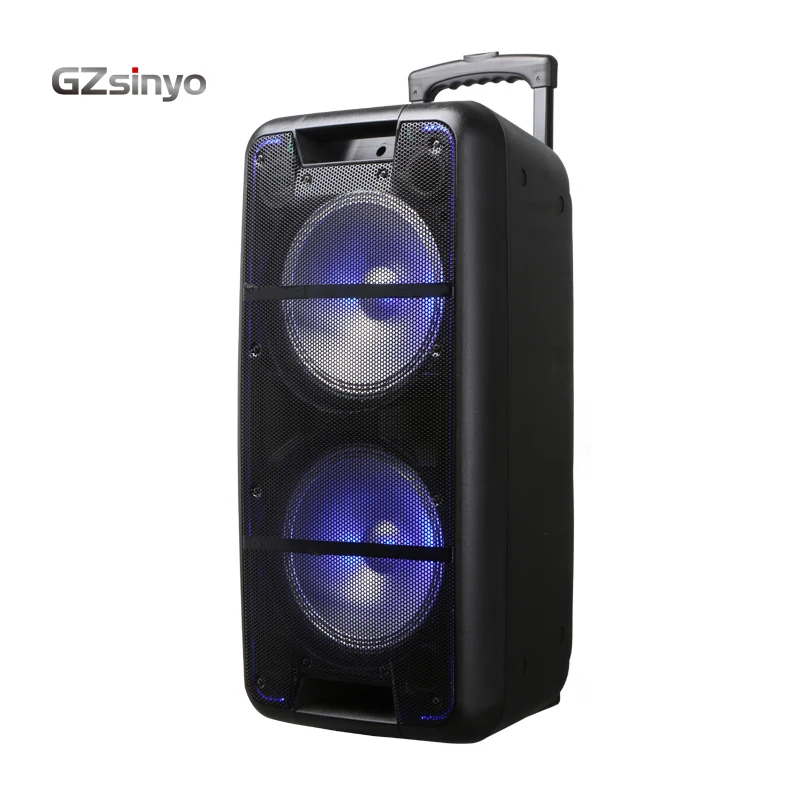 double 10inch  trolley   hot sell low price outdoor portable speaker system with usb charger