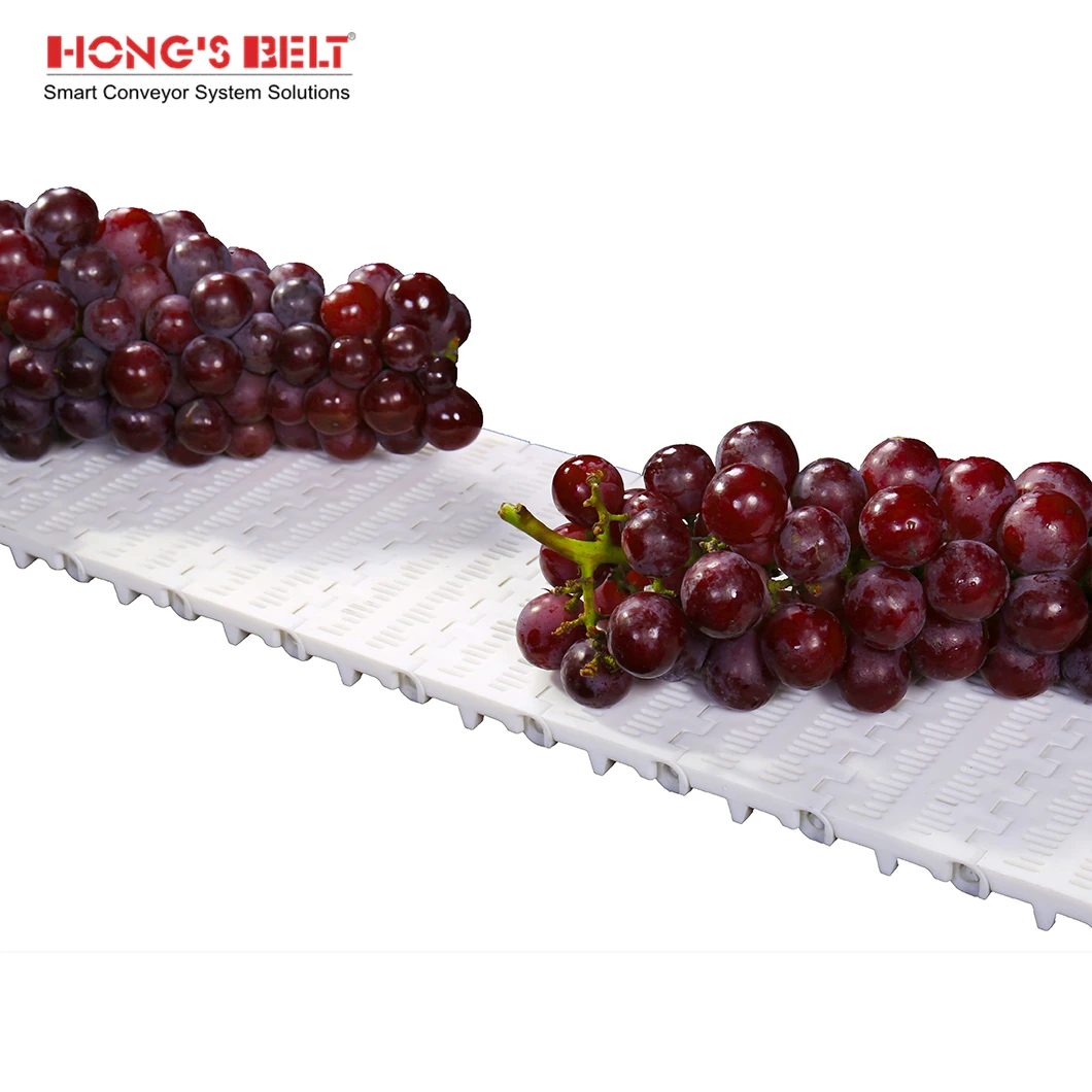 Hongsbelt HS-100B-HD Curved Modular Conveyor Chain Belt Modular Belt For Food Grade