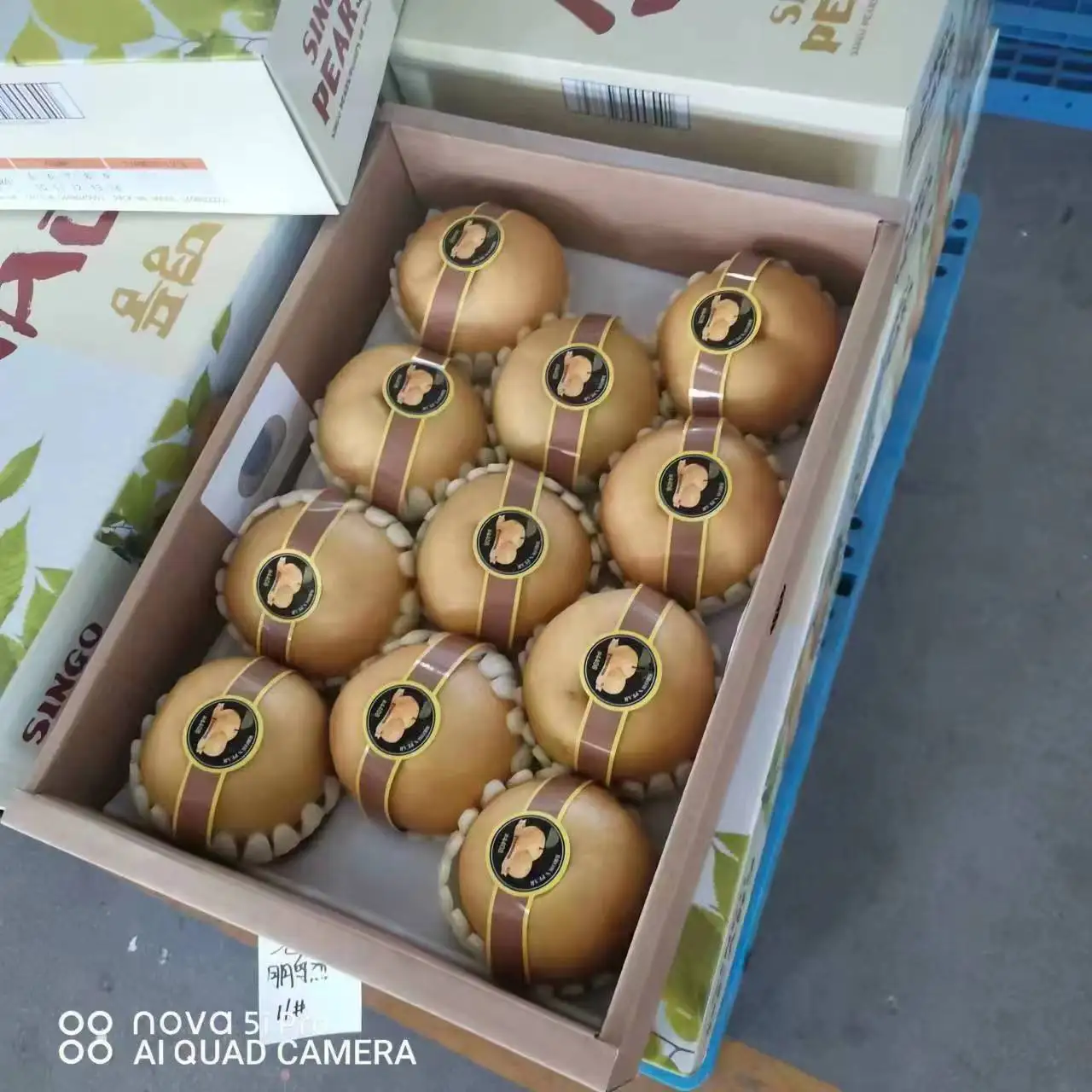 Высокое качество груши фрукты Корона груша новые свежие груши фрукты для продажи