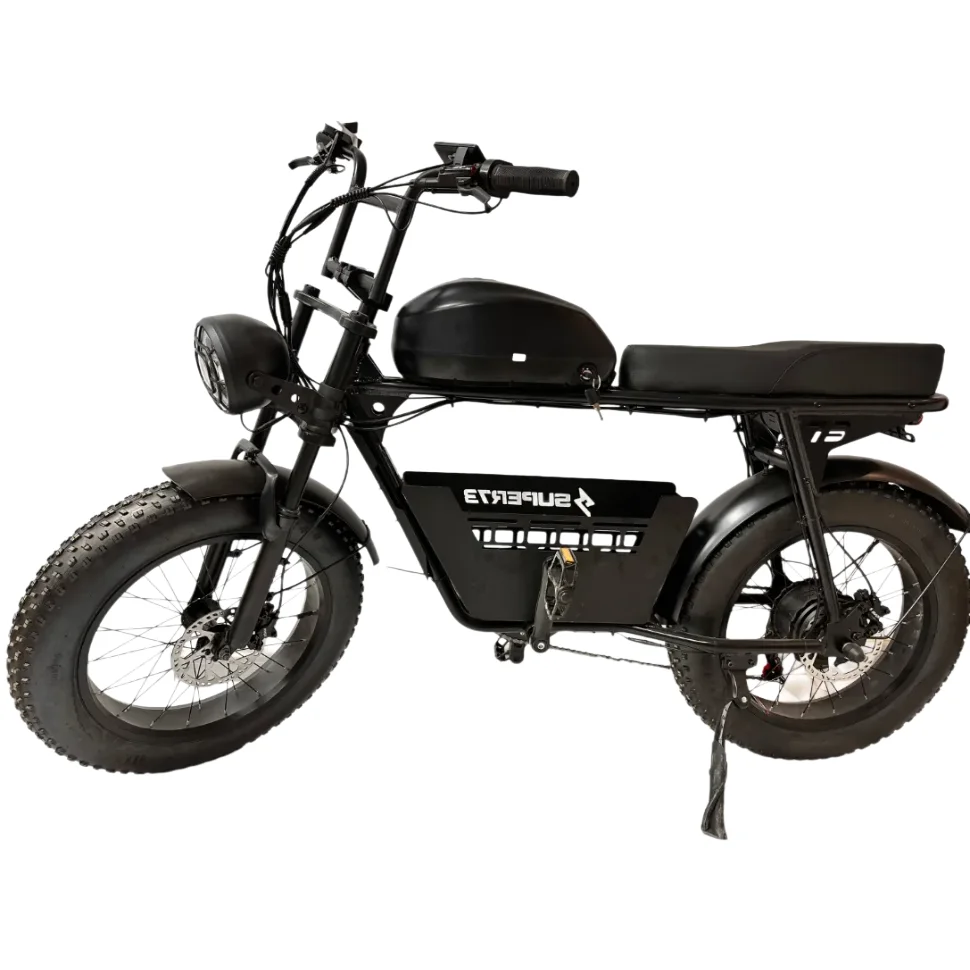 2024 7 speed 48V 500W Mountain e-bike city ebike mtb Fat Tire Electric e Bike
