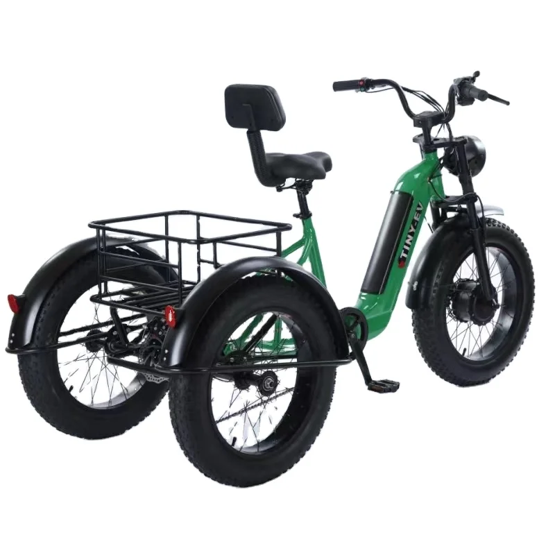 electric tricycle handicaped-adult/electric tricycle open 48v tricycle/electric tricycle sri lanka tricycle for traveling