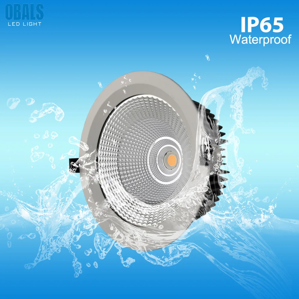 IP65 Waterproof aluminum housing ceiling downlight led down light led downlights round recessed down light ceiling lamp