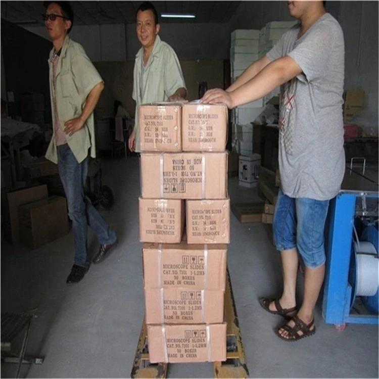 Microscope slides set for medical science high quality laboratory research and teaching parasitology