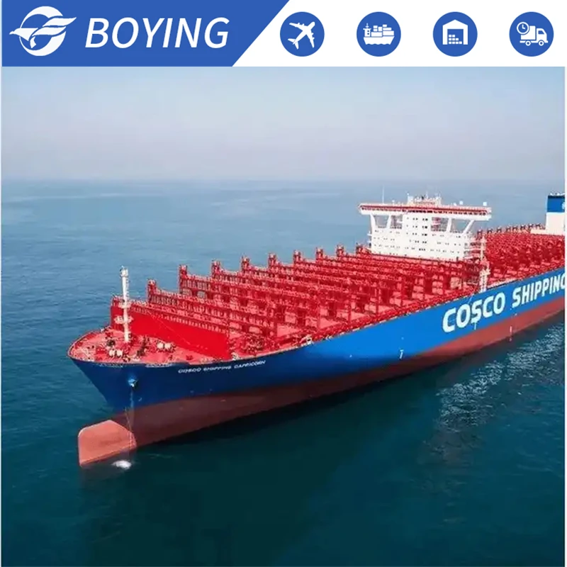 Sea Freight Shipping Agent China To USA DDP Freight Forwarder Sea  Cargo Freight Agent