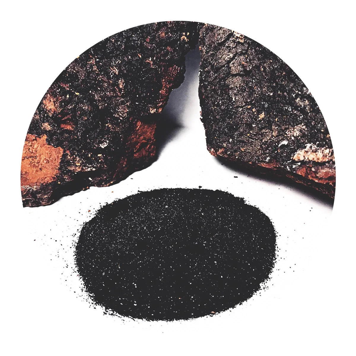 15% влажности березы chaga экстракт оптом