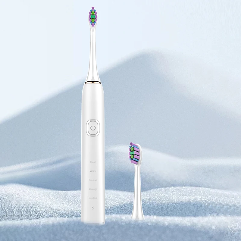 Baolijie Electric Tooth Brush IPX7 Waterproof Sonic Electric Tooth Brush  For Adult