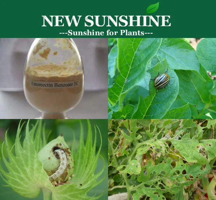 Hot Sale High Quality Benzoate Emamectin Price 90% /70% TC, 30%/20%/10% WDG, 5% SG Formulation Agrochemical Insecticide