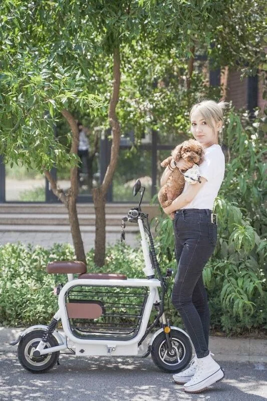 Best Large on Wheels Stroller Trolley Pet Rolling Pet Bag Dog Cat Carrier with Wheels pet scooter citycoco electric scooter