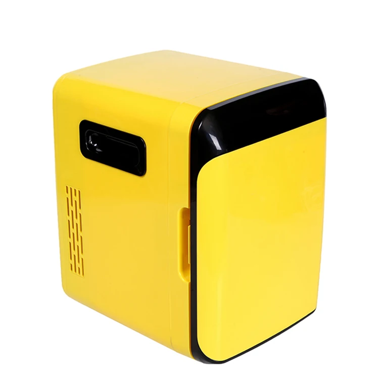  Amazon Hot 10L DC 12V AC 110V 230V мини холодильник на заказ мобильный домашний холодный