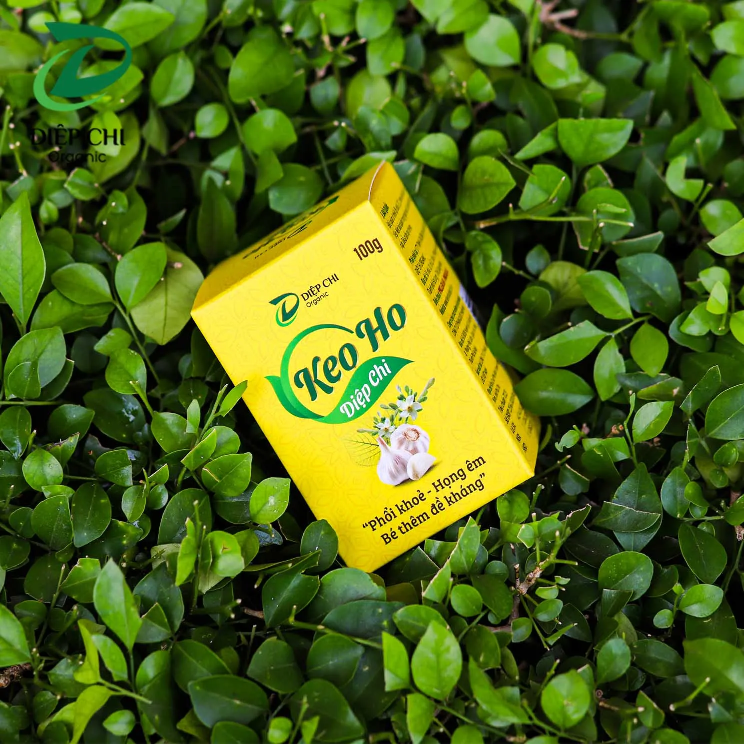 Высококачественный Сироп от кашля, свежий вьетнамский контейнер для лекарств, натуральный Сироп от кашля